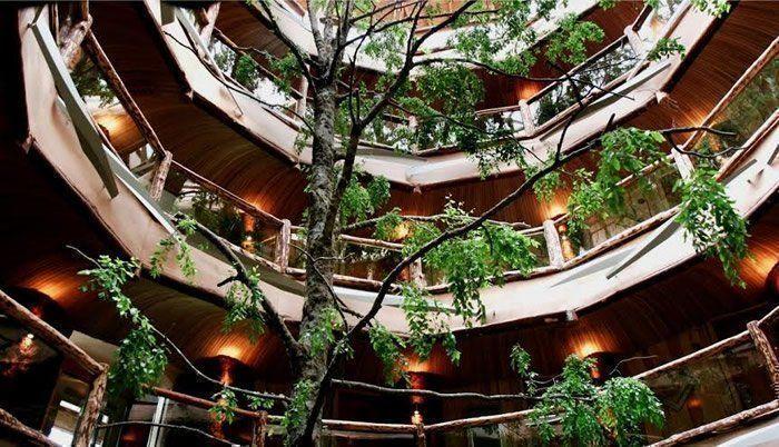 hoteles-sustentables-argentina